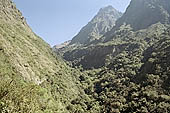 The Inca Trail towards the Dead Woman pass